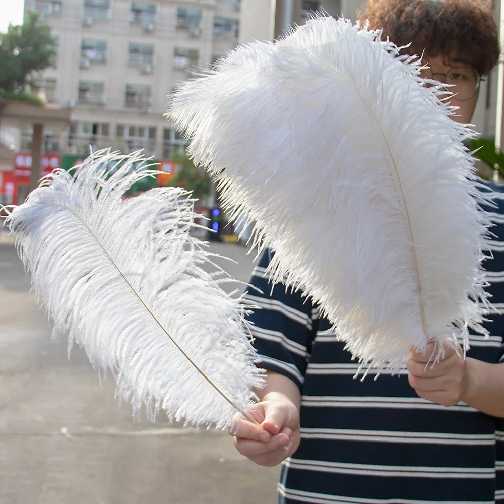 10 шт./партия, разноцветные страусиные перья, 15-50 см