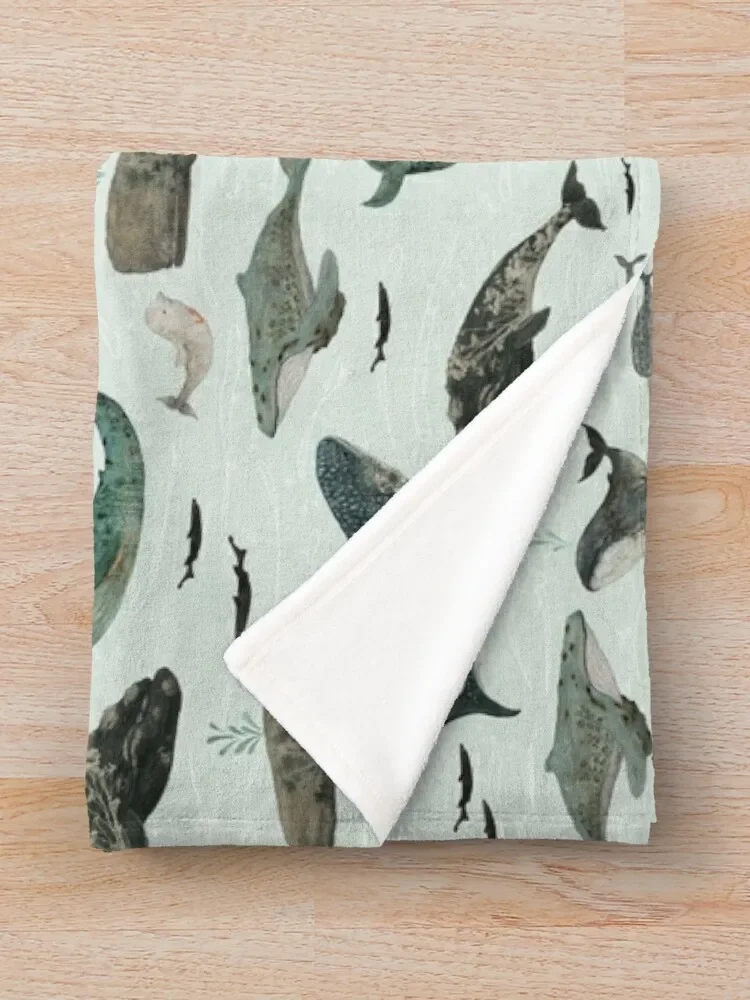 ������ ���� ������ ���, ���ſ� ���ڱ� ������ ���� ���