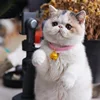 2025 New Classic Pet Bell Cat Collar Cat Neck Jewelry Bell Pet Collar With Safety Clip Easy To Take Off The Classic Pet Design 4