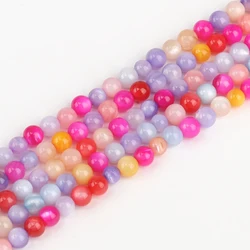 Vibrant Natural Freshwater Shell Beads - 4mm (approx 91pcs) (Multicolor)