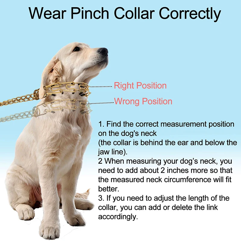 Chain Collar Neck Size Of A Golden Retriever 14mm Stainless Steel