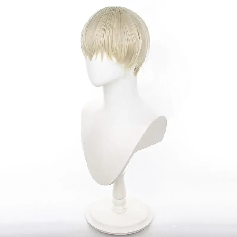 L-email wig Synthetic Hair Anime Wind Breaker Ren Kaji Cosplay Wig 30cm Short Hair Wigs Heat Resistant Wig 4