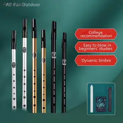 1Pc 6 Hole Flute C/D Key Irish Whistle Ireland Tin Penny Whistle Metal Flute Instrument Wind Musical Beginners Accessories