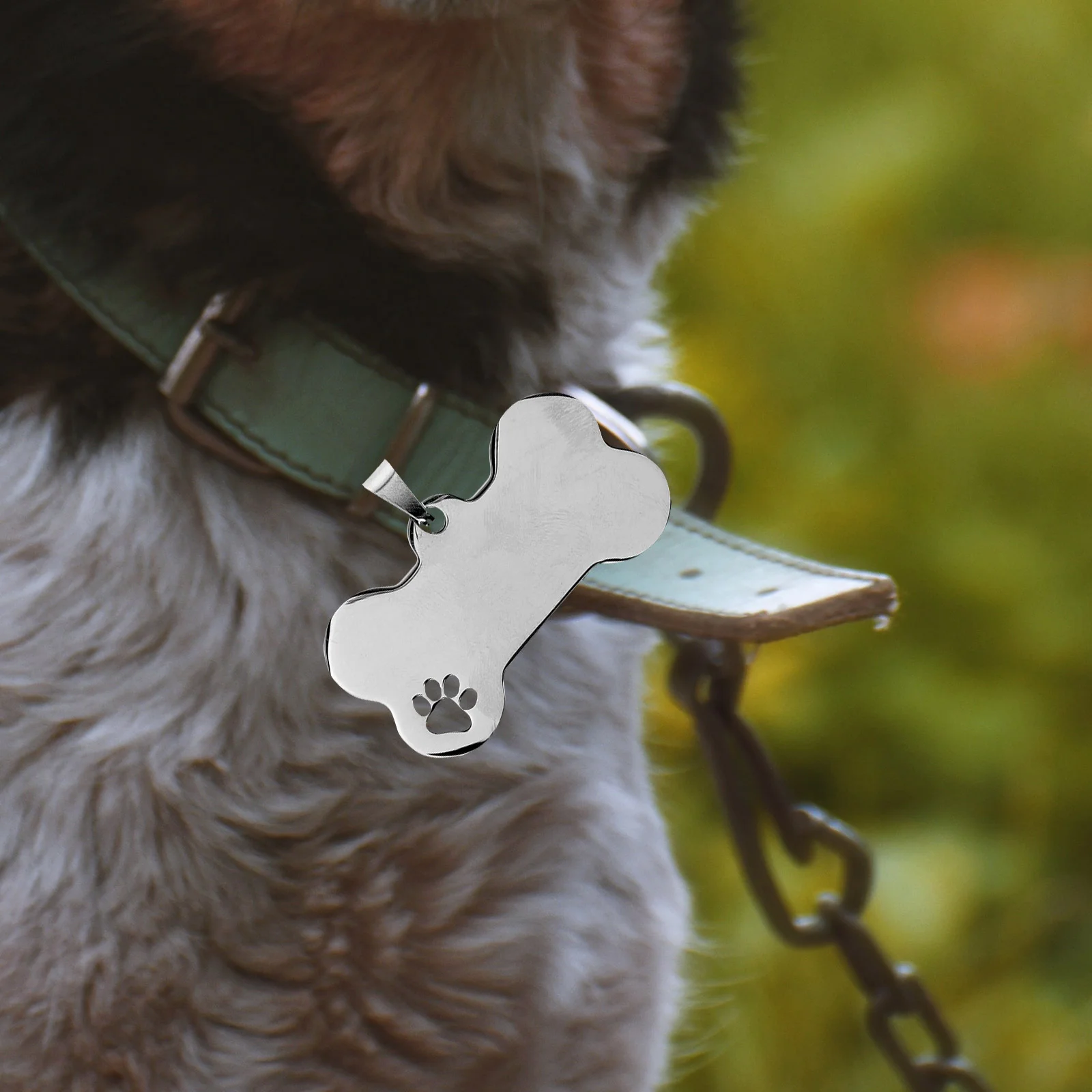 Dog Id Tag 10 Pcs Stainless Steel Dog Tags Personalized Engraved Pet Id Tags For Collars Harnesses Leads Bone Shape
