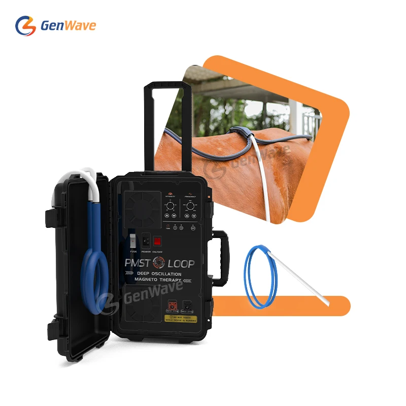 Pmst Loop Pemf Equine Pulsato Eletromagnetico Feild Sport Injection Horse Treatment Machine