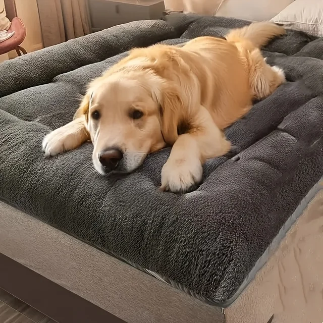 Extra-Large Plush Pet Bed 2