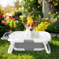 Foldable Baby Bath Tub with Cushion and Thermometer Set