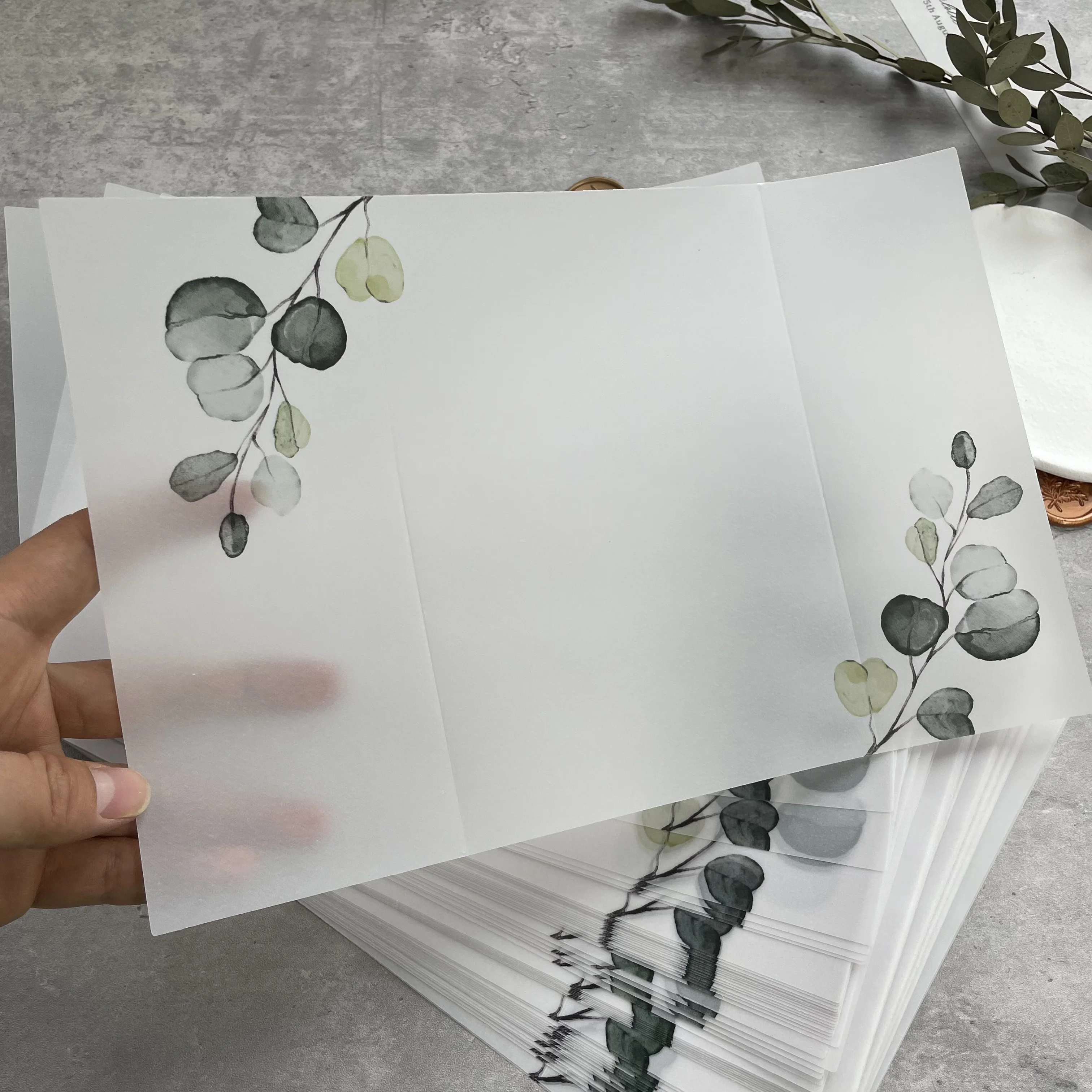 25pcs Eucalyptus Vellum  Wrap suitable for a 5 x 7 Wedding Invitation