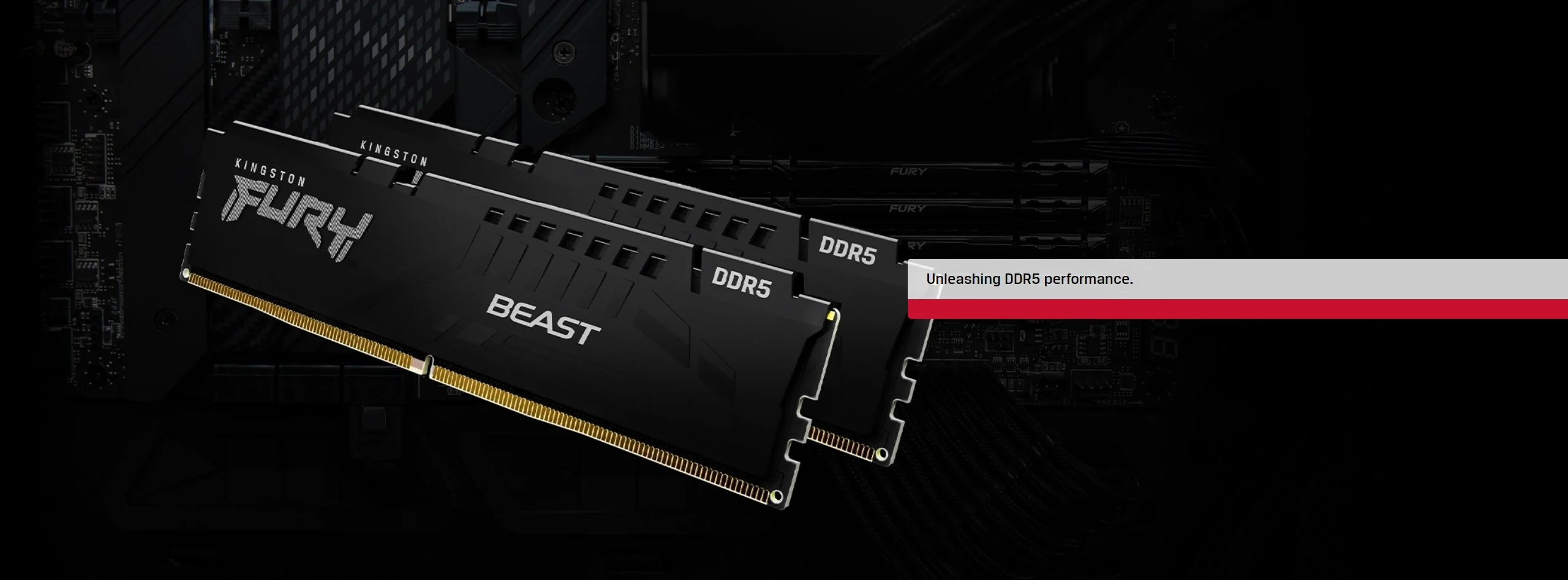 Fury beast ddr5. Fury beast ddr5 png. beast ddr5 png.