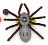 [Funny] Prank trick toy Infrared remote control flash spider animal toy Electronic pets RC simulation luminous tarantula model 4