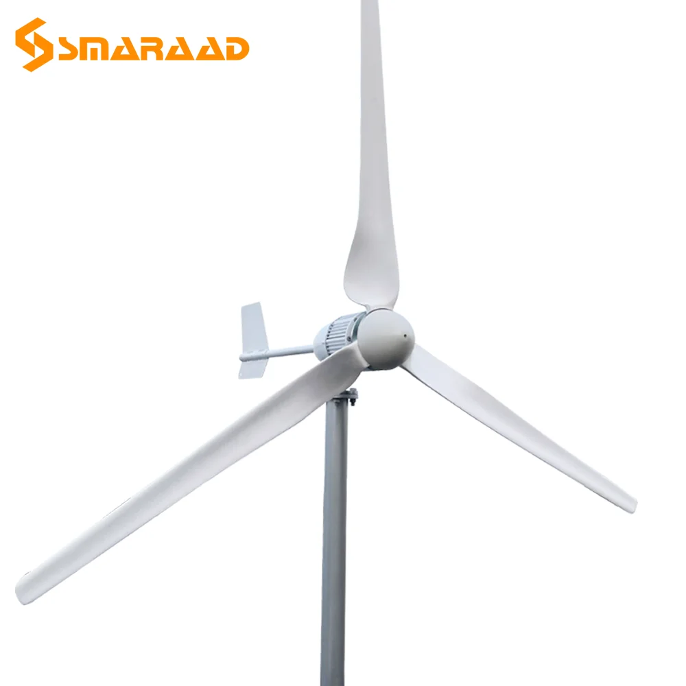 Wind Turbine Generator Windmill Wind Turbine Inverter 3000 W 3000w
