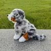 Australian Shepherd Dog High Fidelity Cute Plushie Dogs Plush Toys Lifelike Animals Simulation Stuffed Doll Toy Gifts For Kids 3