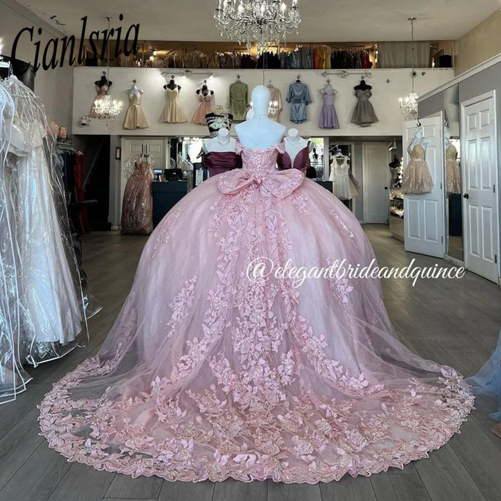 

Pink Sweet 16 Quinceanera Dress Glitter Lace Appliques Sequins Flowers Princess Party Gown Vestidos De 15 Años