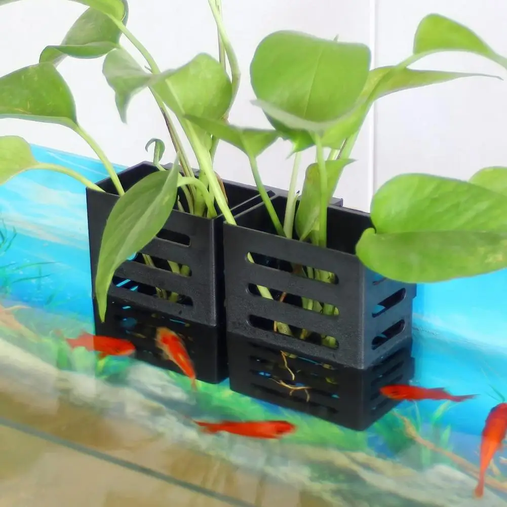 

Hanging Aquarium Plant Holder with Hooks And Suction Cups Improves Water Circulation Hydroponic Box Aquarium Planter Cups