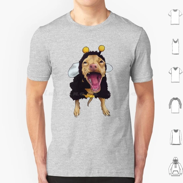 Tuna The Dog With Braces