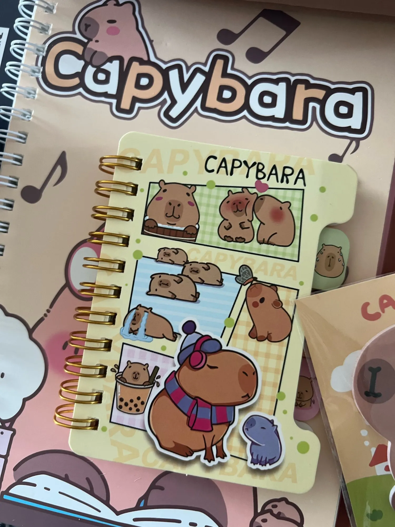 Capybara Notebook Collection photo review