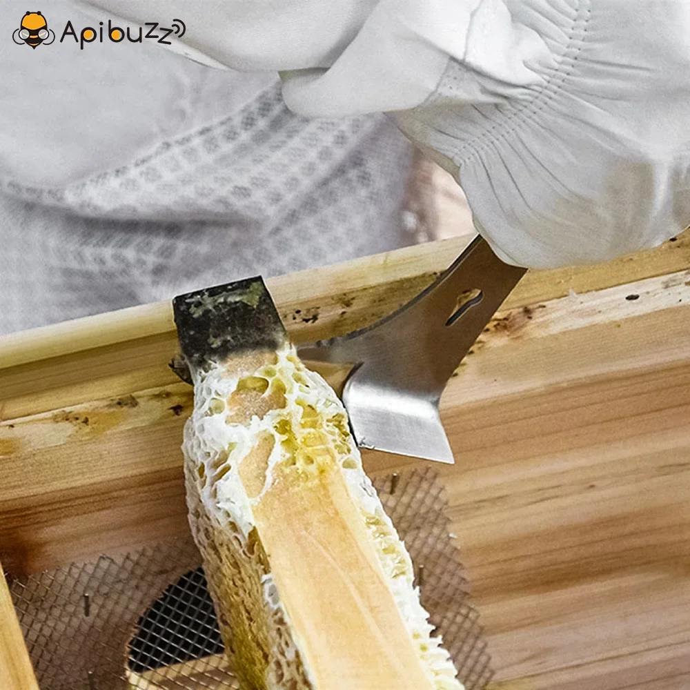Bee hive tool-Ripper Bee Hive Scraper -Multifunctional Beehive Frame Lifter-Apiculture equipment Beekeeping accessories