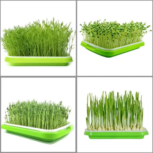 1 Db Palánta Tálca Otthoni Kerti Óvodai Edények Mikrogreen Segítetlen Hidroponikus Vetőmag Spruter - Image 2