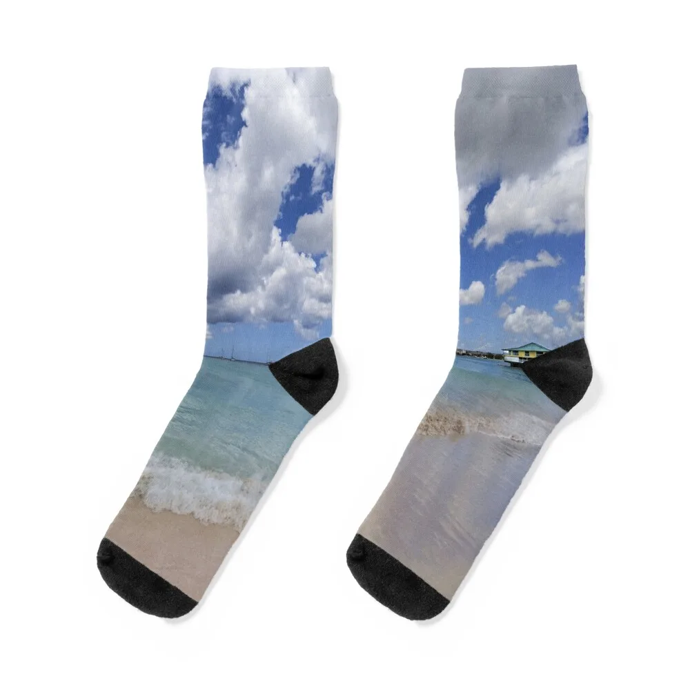 

Barbados Summer Day Socks Stockings compression Cartoon characters socks Sports socks Male Socks Women's