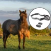 FITCENT Horse Heart Rate Monitor Tracker Monitoring Heart Rate Horse Band Belt for Equestrian 1