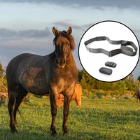 FITCENT Horse Heart Rate Monitor Tracker Monitoring Heart Rate Horse Band Belt for Equestrian 1