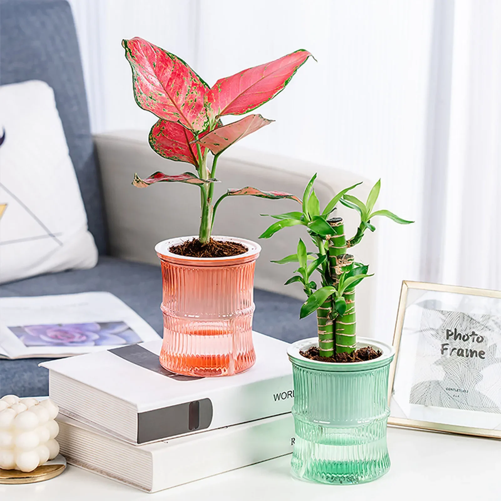 Self Watering Flowerpot Transparent Succulent Hydroponic Plants Pot Mini  Planter Pots Tabletop Flower Pot Home Bonsai Decor - AliExpress, image size:1601x1601