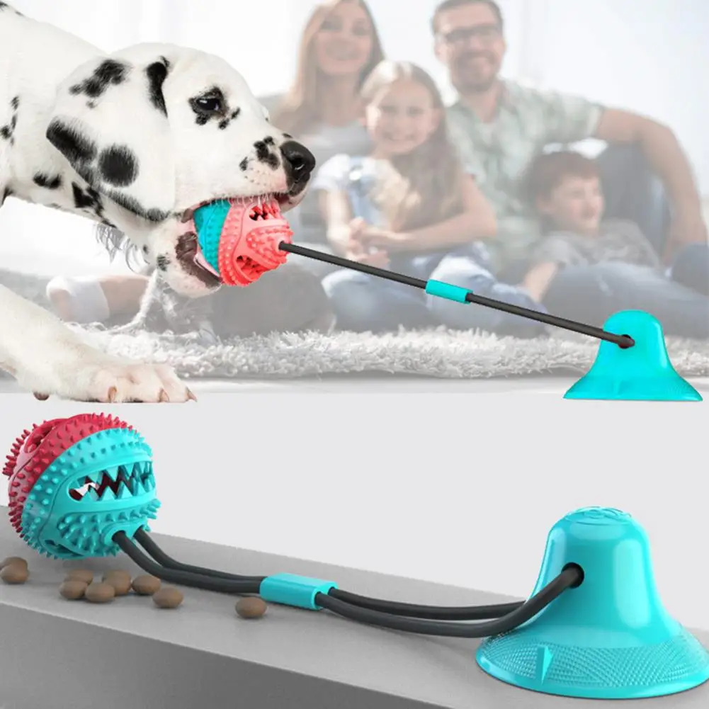 Interactive Dog Chew Toy 3