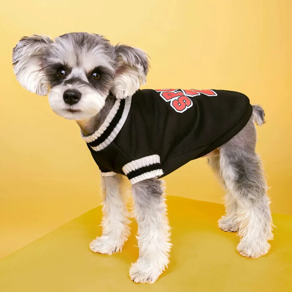Suéter clásico de punto para perros pequeños, ropa cálida de invierno para Chihuahua, Jersey de ganchillo, disfraz de gato - AliExprs 15 Suéter clásico de punto para perros pequeños, ropa cálida de invierno para Chihuahua, Jersey de ganchillo, disfraz de gato - AliExprs 15