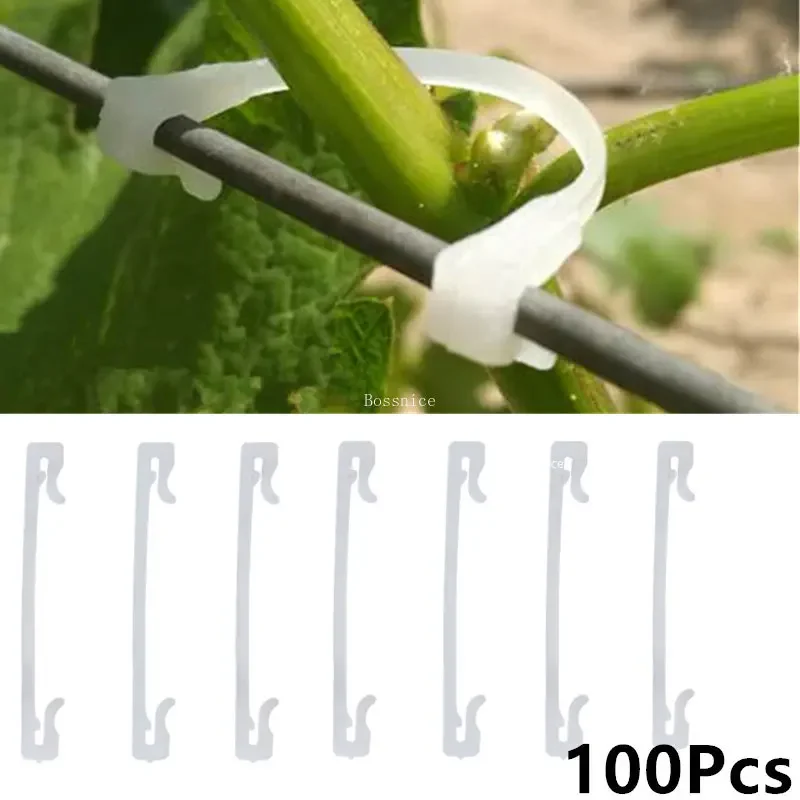 Plastic Plant Clips 50/100Pcs Tomato Support Clips Grape Rack Mesh Fasteners Gardening Agricultural Bundling