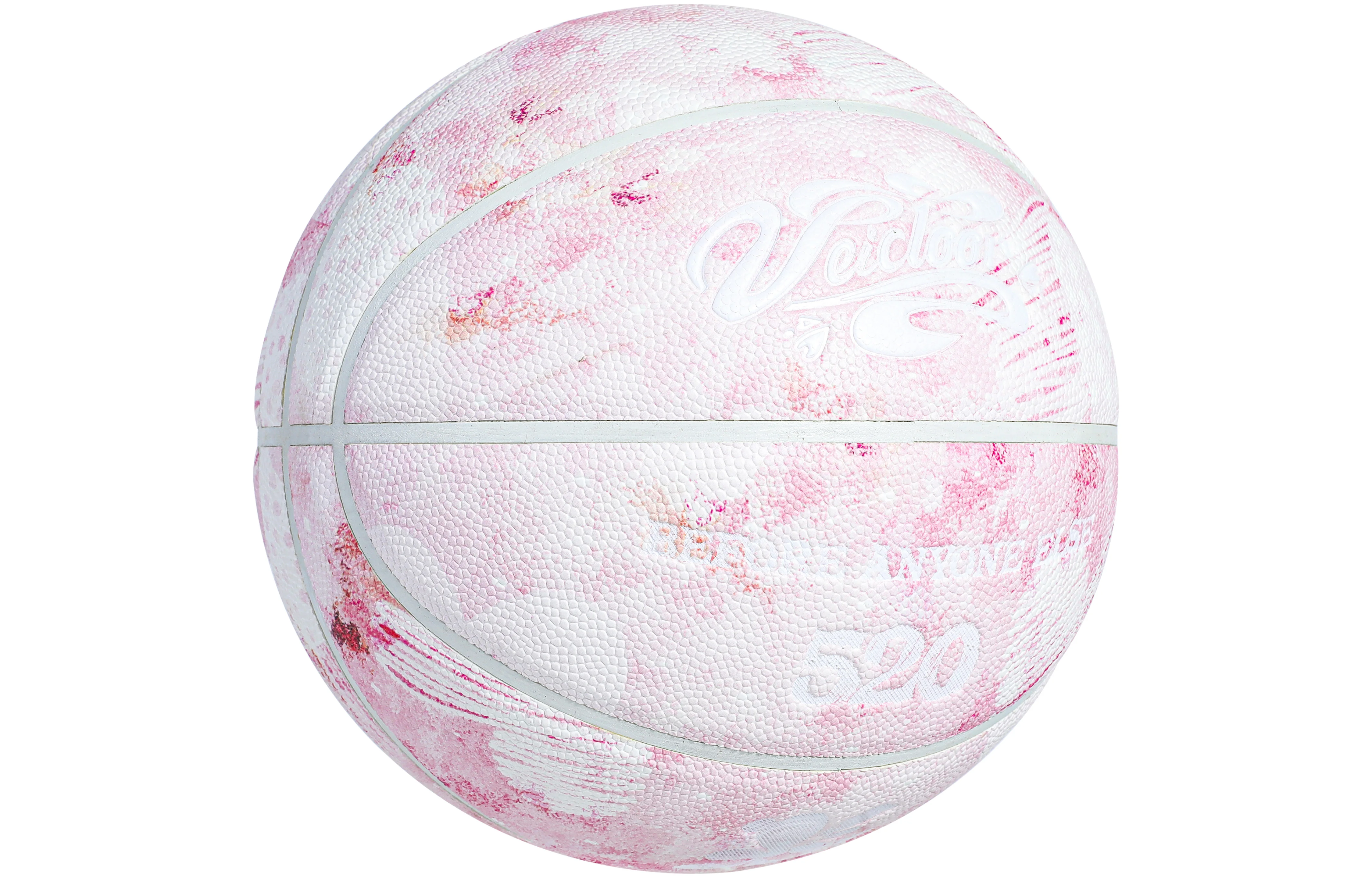 Professional Basketball for Women