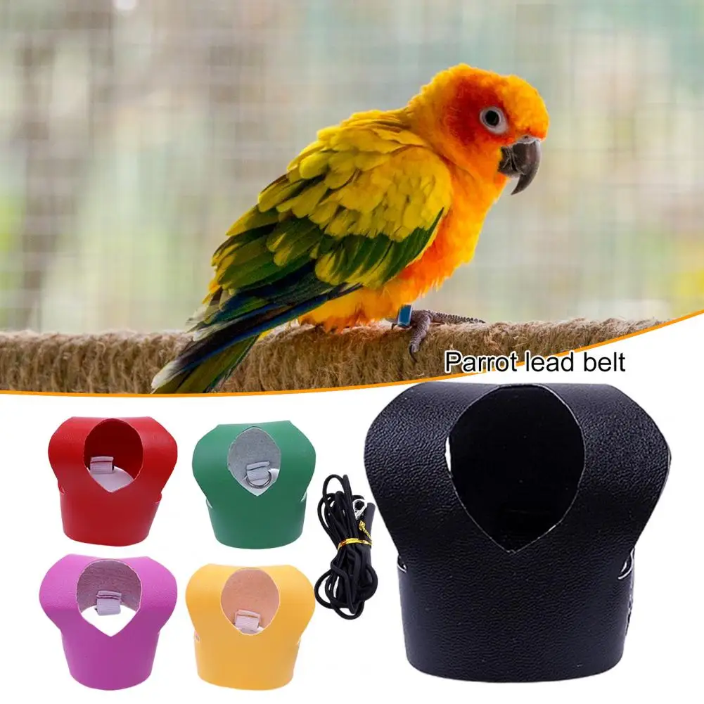 Bird Harness Parrot Leash Bird Vest Training Traction Rope Chest Harness Fastener Tape Parrot Costume Outdoor Vest