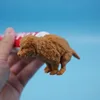 Funny Puppy Poop Toothpaste Dispenser Creative Puppy Toothpaste Cover Dog Ass Toothpaste Cover Dog Lover Gift Holiday Gift 3