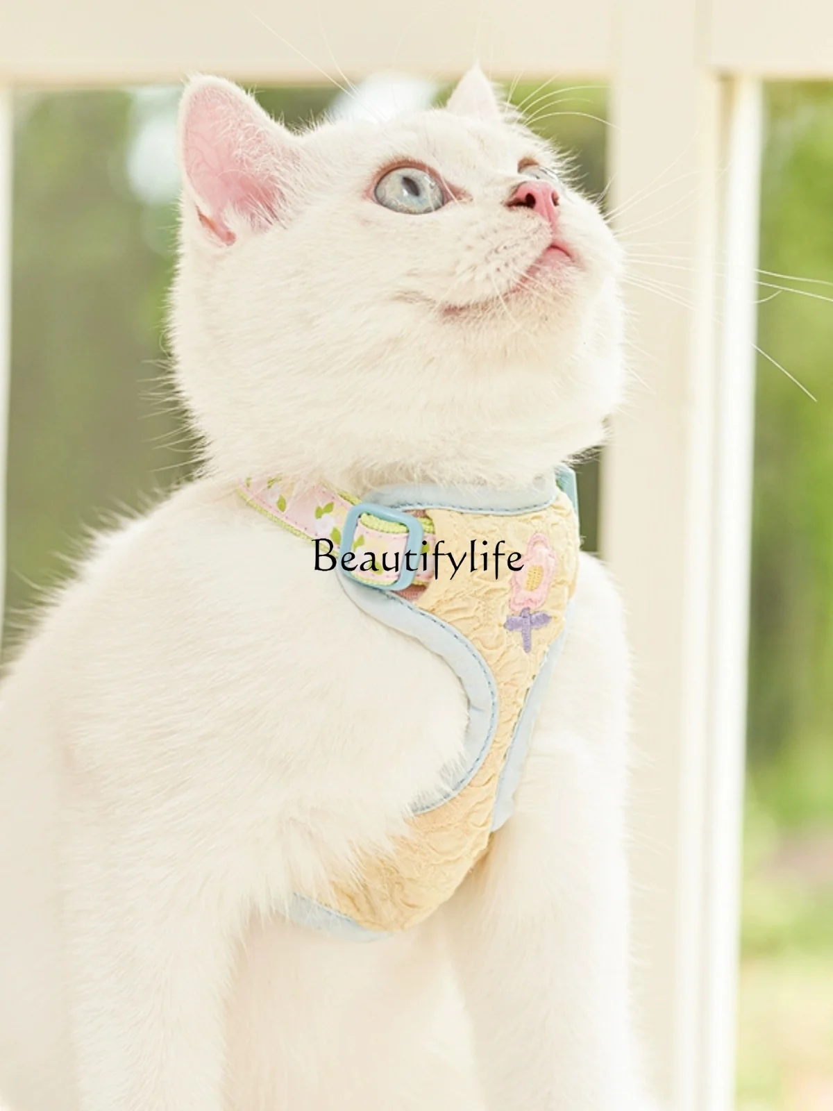 

Dog Rope Leash Vest Cat Cat Rope Small Dog Chest Strap Flower Chest Back Rope