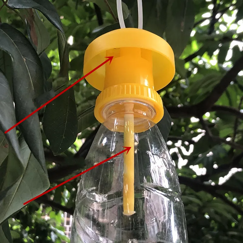 Description Picture 3 of itemFruit Fly Trap Killer Plastic Yellow Drosophila Trap Fly Catcher Pest Insect Control For Home Farm Orchard 6*6cm