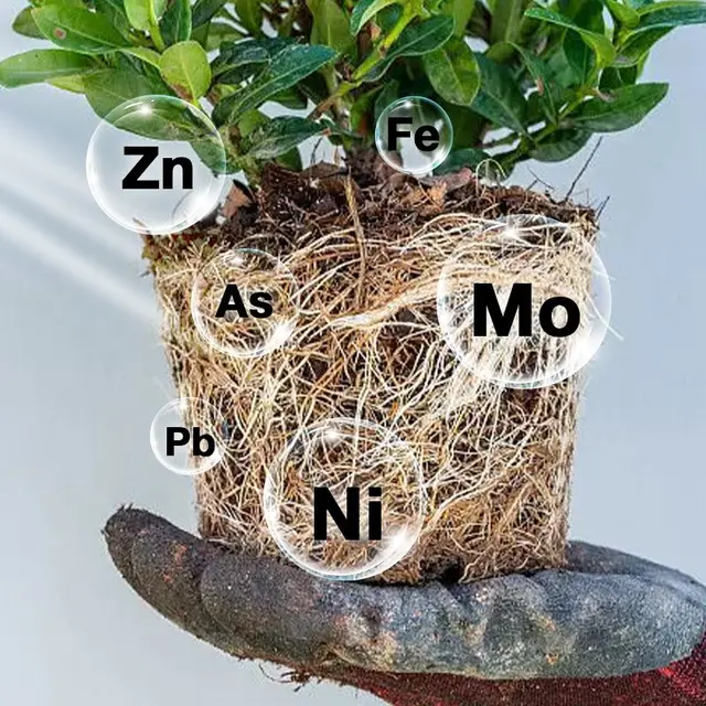 Gyors Gyökérzetű Tápanyagoldat Növényi Növekedés Fokozó Műtrágya Kerti Hidroponikus Cserepes Virág Bonsai Növekedéshez - Image 5