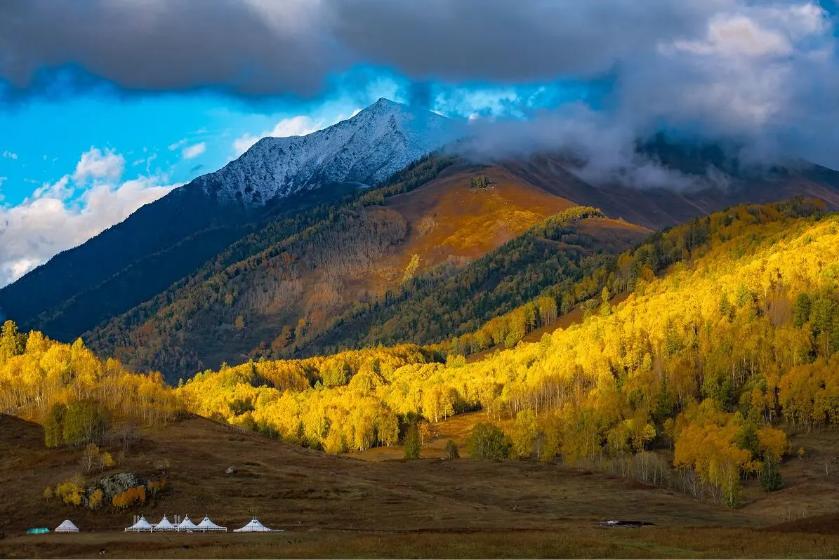 

Деревянный пазл Lofty mountain, 1000 шт., ersion, пазл, белая карта, взрослые, детские развивающие игрушки