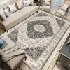 Home Decoration Persian Carpets Living Room Retro Decor Rugs Hall Sofa Area Foot Mat Bedroom Cloakroom Hallway Large Carpet 2