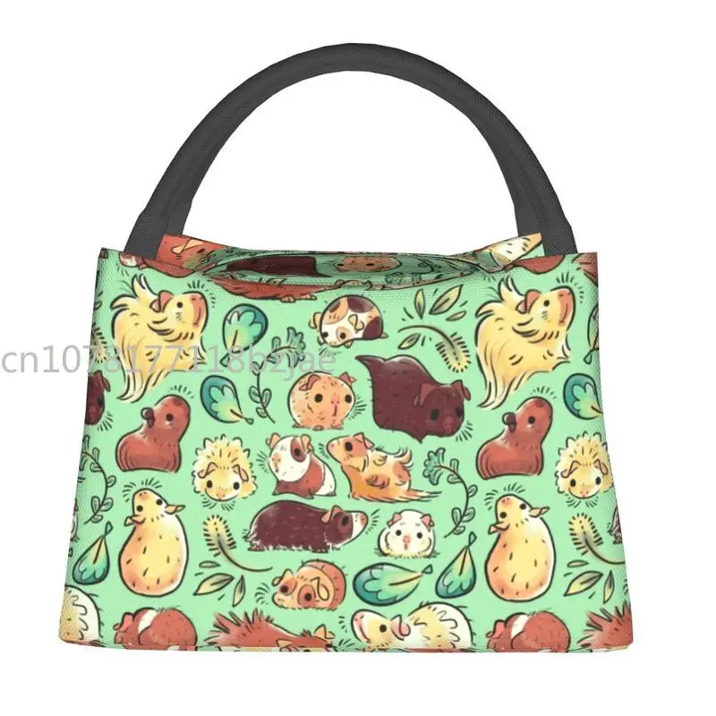 

Guinea Pig Huddle Insulated Lunch Tote Bag for Women Animal Resuable Thermal Cooler Food Lunch Box Office