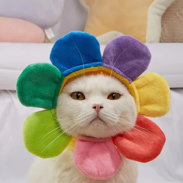 1Pcs Pet headgear cute dog teddy dress sunflower cat headdress wig cat headgear hat pet supplies 6