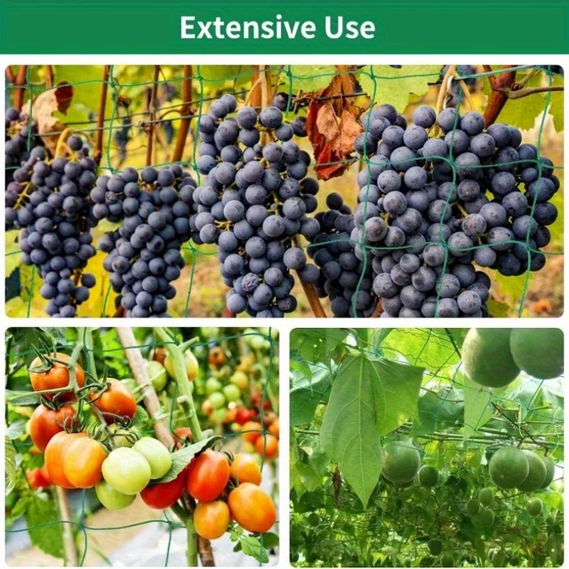 1PCS Trellis Netting Outdoor Heavy Duty Nylon Plant Climbing Netting Plant Net for Cucumber Tomato Fruits Vegetables Grapes 5