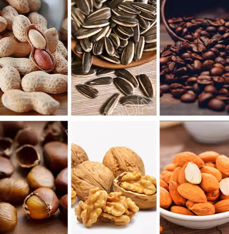 Visible 10L Electric Coffee Roaster Coffee Bean Nuts Baking
