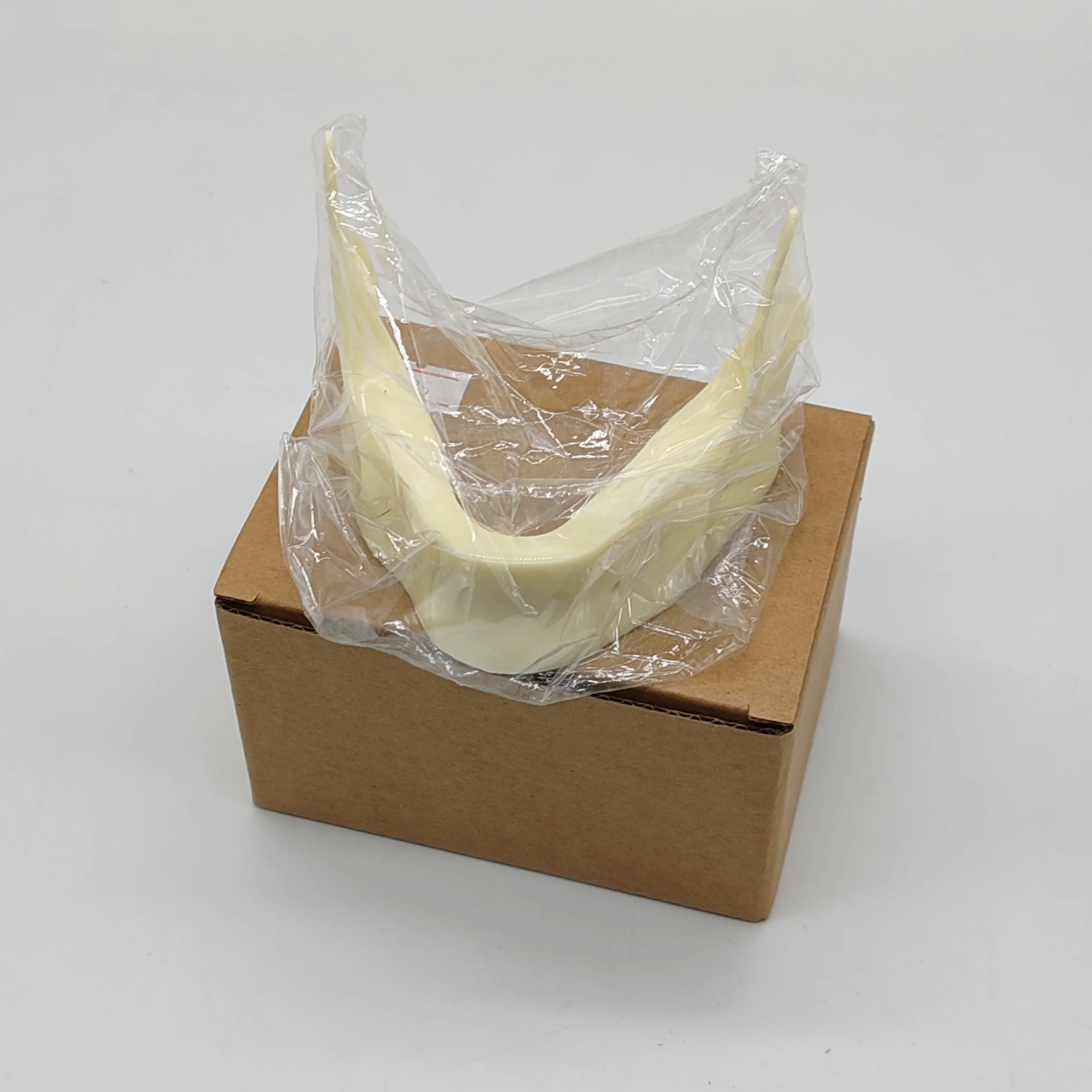 

Dental Teeth Model M2025 Mandible Implant Model for School Clinic