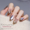 Vendeeni 15 Colors/set Colourful Crystal Aurora Cat Eye Gel Nail Polish Magnetic Gel Varnish UV LED Soak Off Gel Lacquer 2