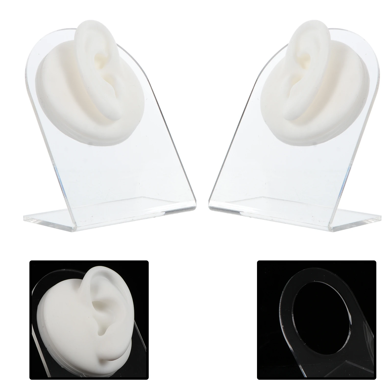 Modelo de oreja para Piercings de práctica externa interna, características la molde de perforación Facial, estructura, muestra joyería reutilizada| | -