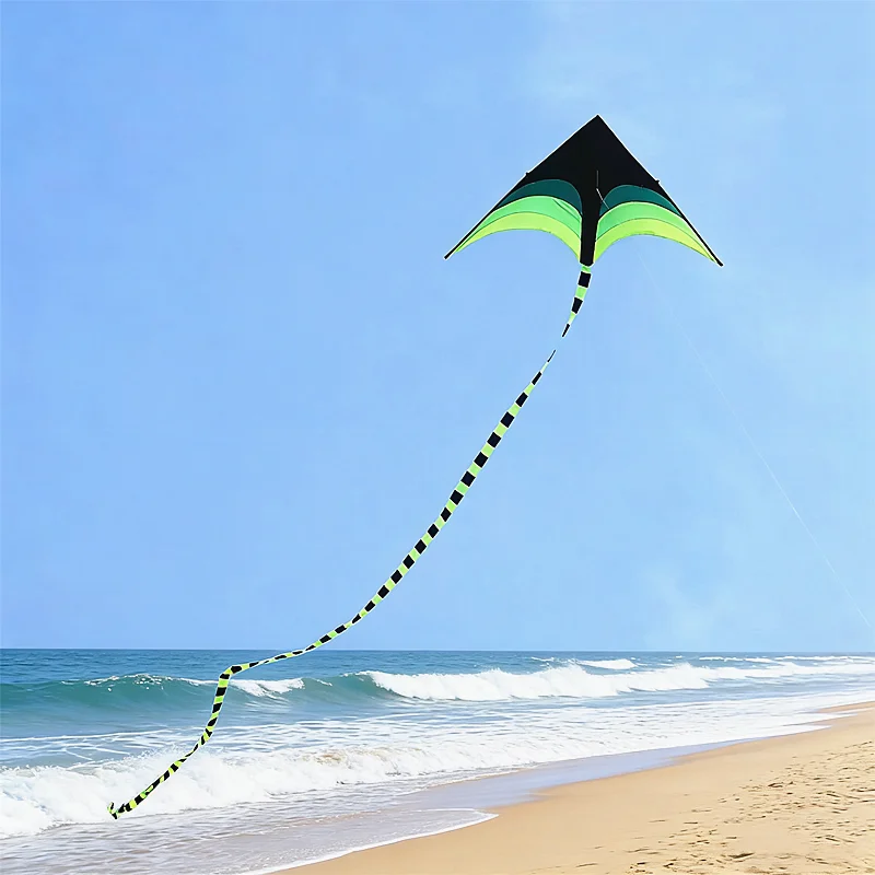 1,6 m Delta-Drachen, Winddrachen, Outdoor-Spielzeug für Kinder, Flugdrachen, Sport, Strand, professioneller Drachen, Oktopus-Drachen, Kevlar – Detail 8