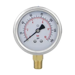 MAIRUIKE Glycerin Filling Pressure Gauges 62.5mm(2.5 inch) 1mpa Stainless Steel Case  Brass Joint Manometer for Water Oil  Gas