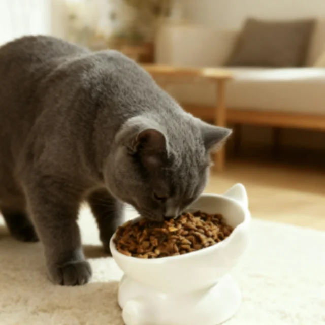 Cat Bowl Pet Accessories Ceramic Diagonal High Feet Cute Protection Cervical Spine Dog Bowl Drink Water Bowl Pet Supplies