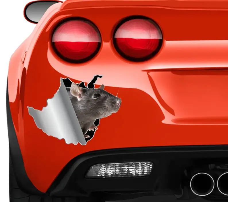 Rat Sticker Car Sticker Mouse Sticker Vinile Adesivo Pet Rat Decalcomanie Rat Decal Paraurti Sticker Rat Lover Present For Him Car 27
