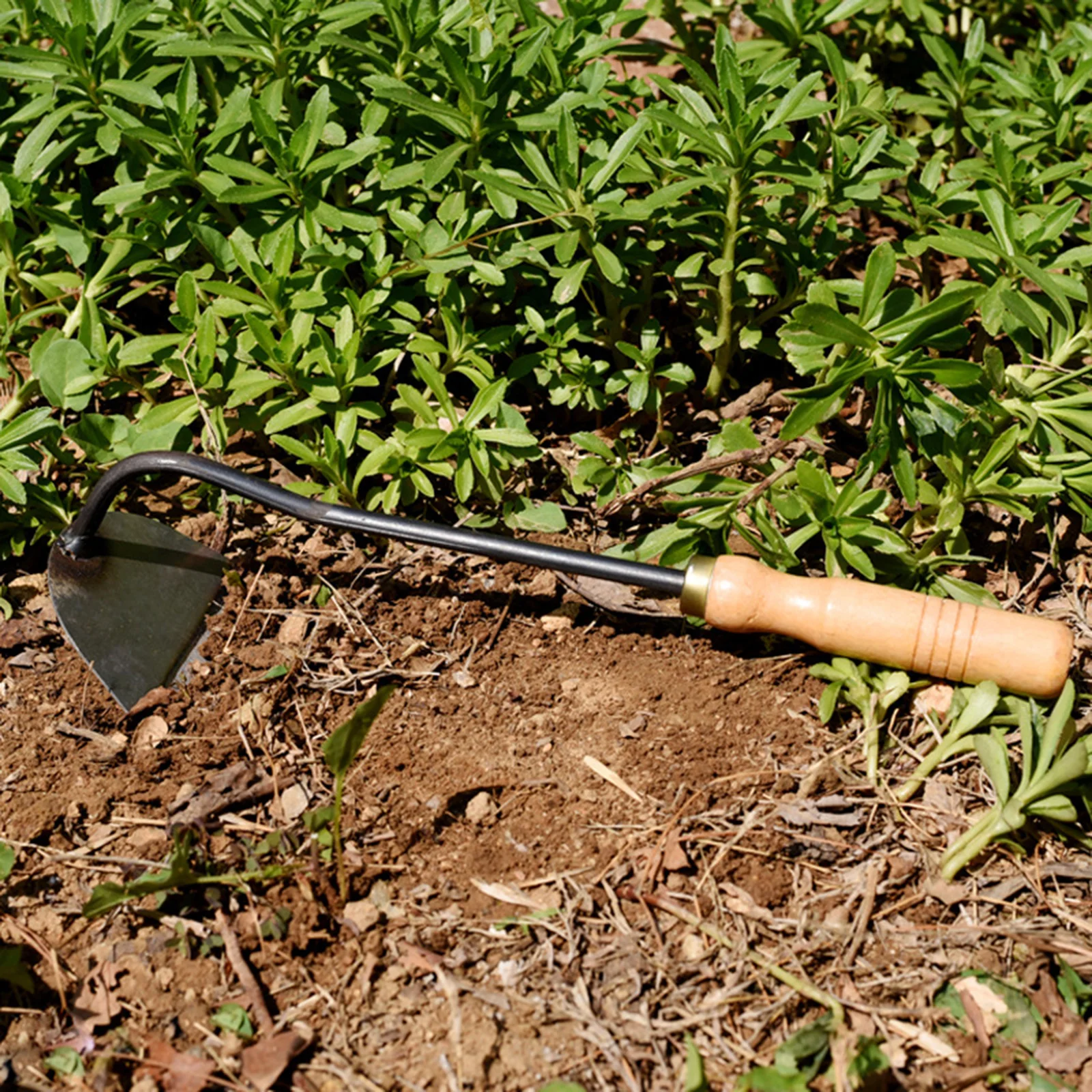 Garden Hoe Tool Wedding Gardening Steel Nonslip Handle Hand Hoe Weeder Hand Digger Cultivator for Farm Lawn Plants Yard Backyard 5