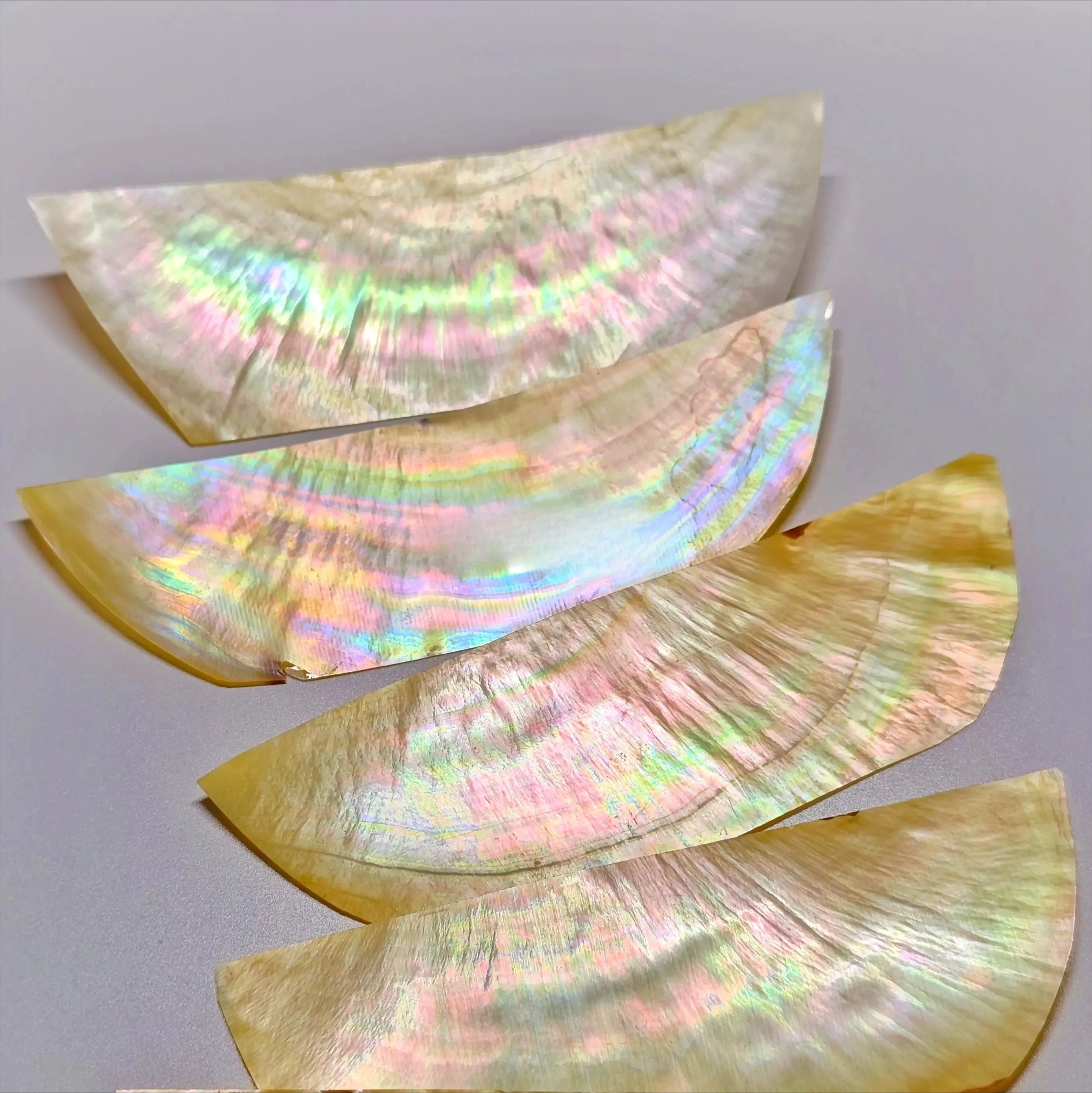 8x4x0.2mm 천연 황색 자개 조개껍질 슬라이스, 악기 조명기구 액세서리 목재 인레이 조각 재료